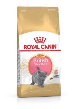 Sausas kačių ėdalas Royal Canin British Shorthair Kitten,400g