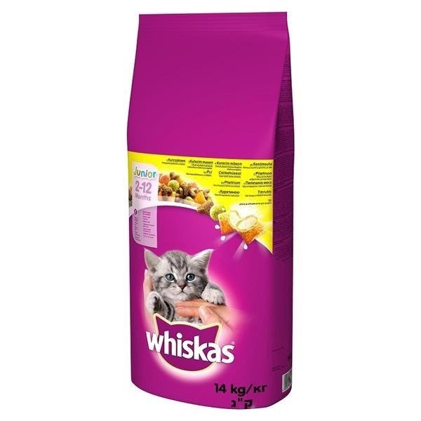 WHISKAS Junior su vištiena - sausas kačių maistas - 14kg