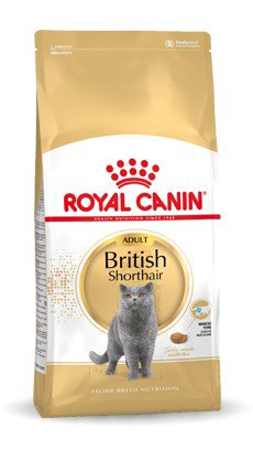 Royal Canin British Shorthair Adult sausas kačių maistas 4 kg Suaugusių
