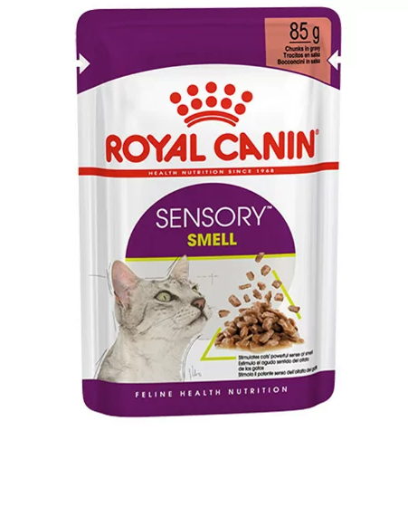Royal Canin Sensory Smell Gravy konservai katėms : Pakuotė - 12 x 85 g