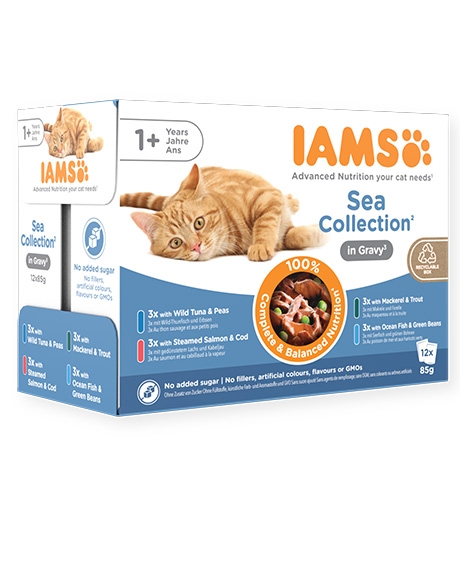 Iams Sea Gravy konservų rinkinys katėms, 12x85 g