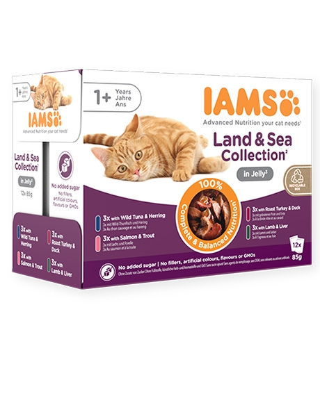 Iams Land - Sea Jelly konservų rinkinys katėms, 12x85 g