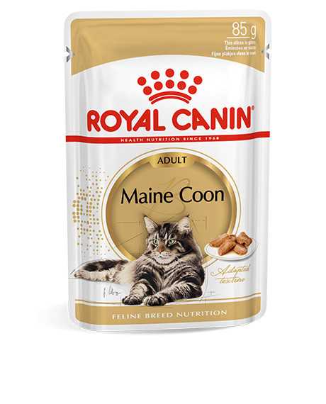 Royal Canin Maine Coon konservai katėms : Pakuotė - 85 g