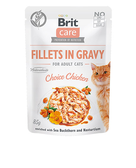 Brit Care Fillets in Gravy Chicken konservai katėms su vištiena, 85 g