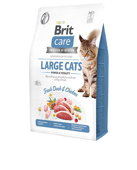 Brit Care Cat Large Cats Power - Vitality sausas maistas katėms : Pakuotė - 2 kg