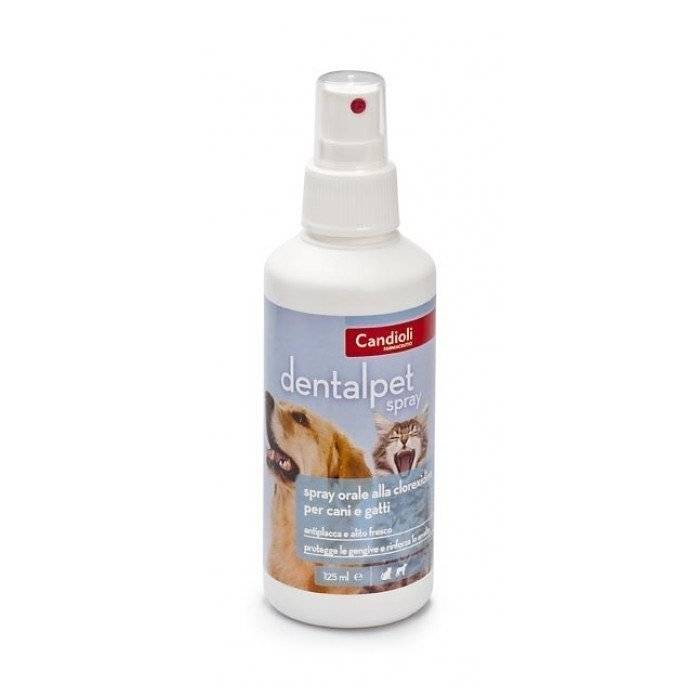 Candioli DentalPet burnos purškalas su chlorheksidinu, šunims ir katėms, 125 ml