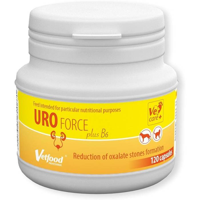 Vetfood UroForce plus B6 papildai šunims ir katėms inkstų funkcijai palaikyti, 120 kapsulių