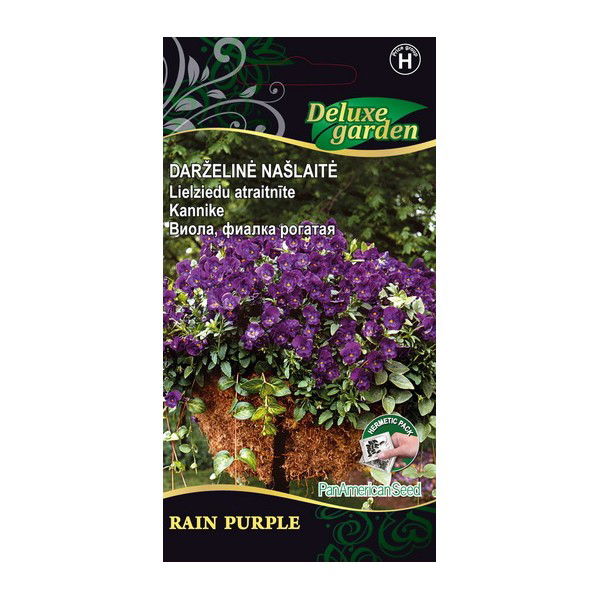 Darželinių našlaičių sėklos RAIN PURPLE, 10 vnt