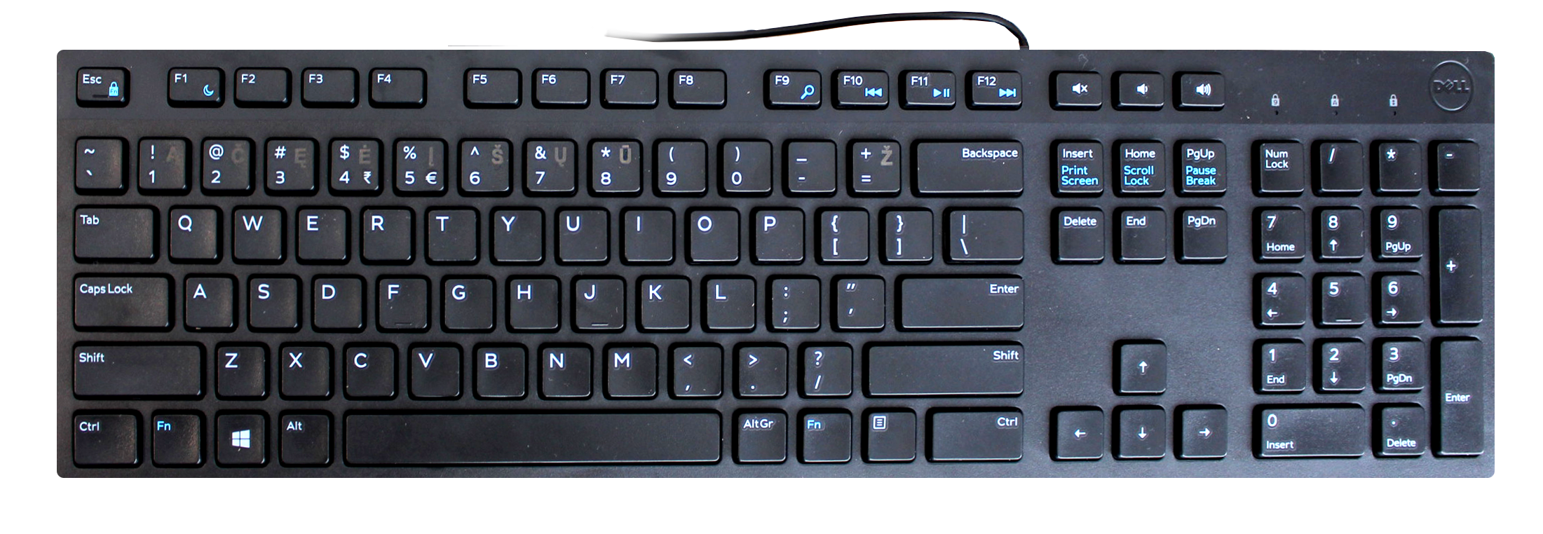 Dell | KB216 | Black | Multimedia | Wired | US | Black | Lithuanian | Numeric keypad