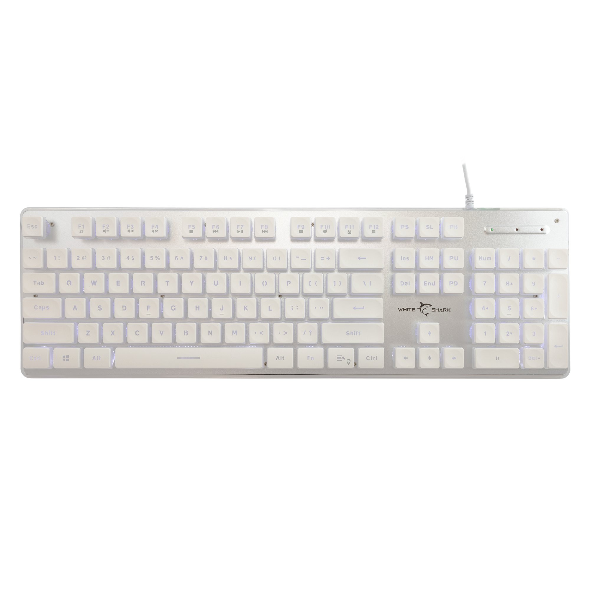 White Shark GK-003241 Tachi White US