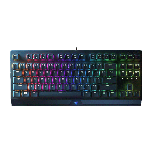 BlackWidow V3 Gaming RGB LED klaviatūra