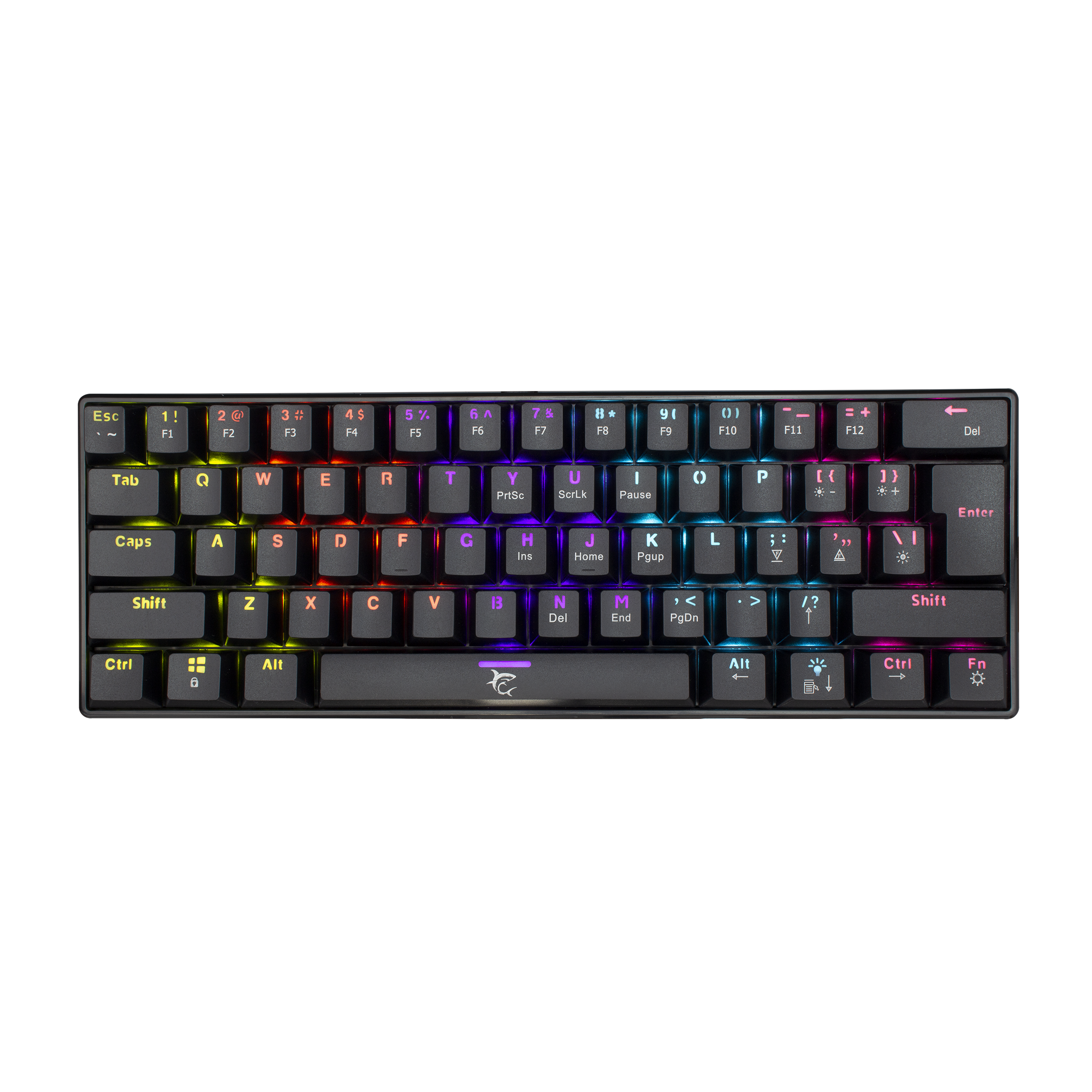 Klaviatūra White Shark GK-2022 Blue switch,Black US