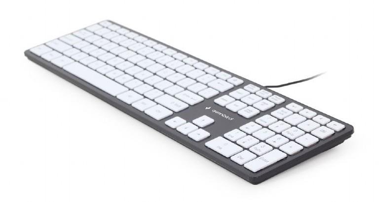 Klaviatūra GEMBIRD KB-MCH-02-BKW