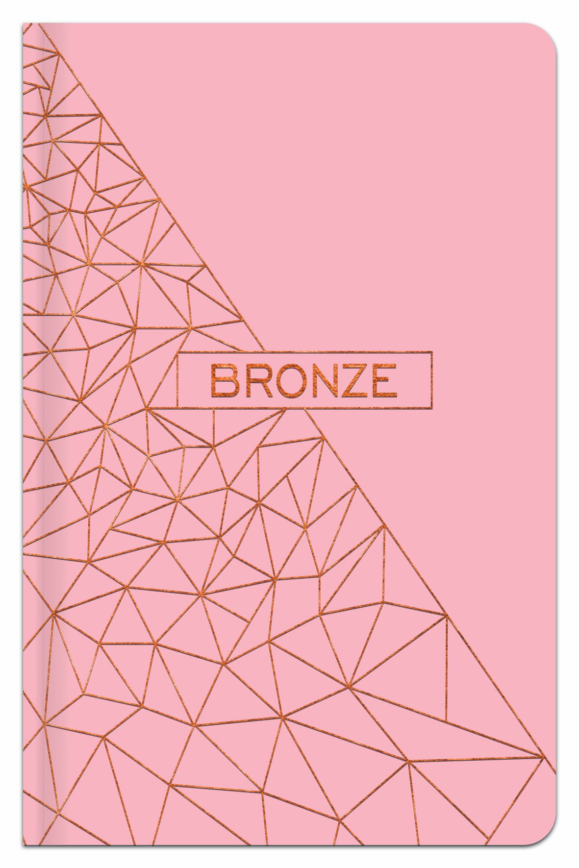 Užrašų knygutė langeliais A6 96 lapų BRONZE