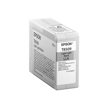 Epson T850900 | Ink Cartridge | Light Black|C13T850900