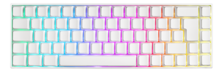 Bevielė klaviatūra DELTACO GAMING WHITE LINE WK95R, 65%, priekiniai lazeriniai klavišai, RGB, Kailh Red, N klavišo apvertimas, JK išdėstymas, balta / RGB / GAM-100-W-UK|GAM-100-W-UK