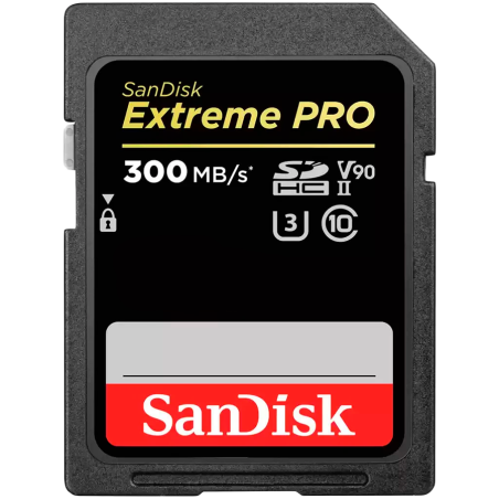 MEMORY SDXC 256GB UHS-II/SDSDXDK-256G-GN4IN SANDISK|SDSDXDK-256G-GN4IN