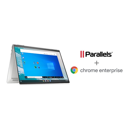 Desktop Chrome License 1 Year Subscription|PD-CHROME1YSUB