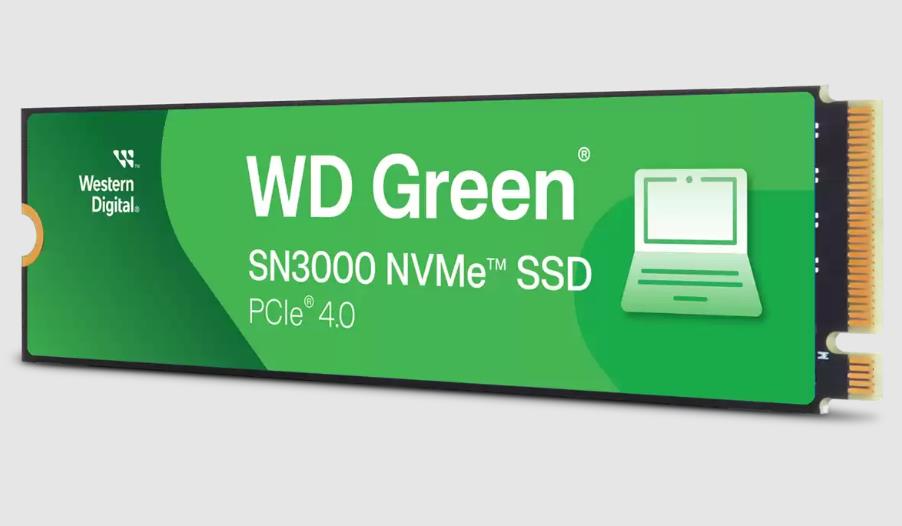 Kietasis diskas WESTERN DIGITAL 500GB
