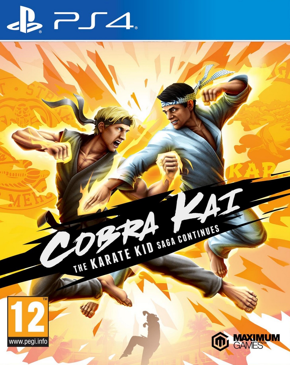 PS4 Cobra Kai: The Karate Saga Continues