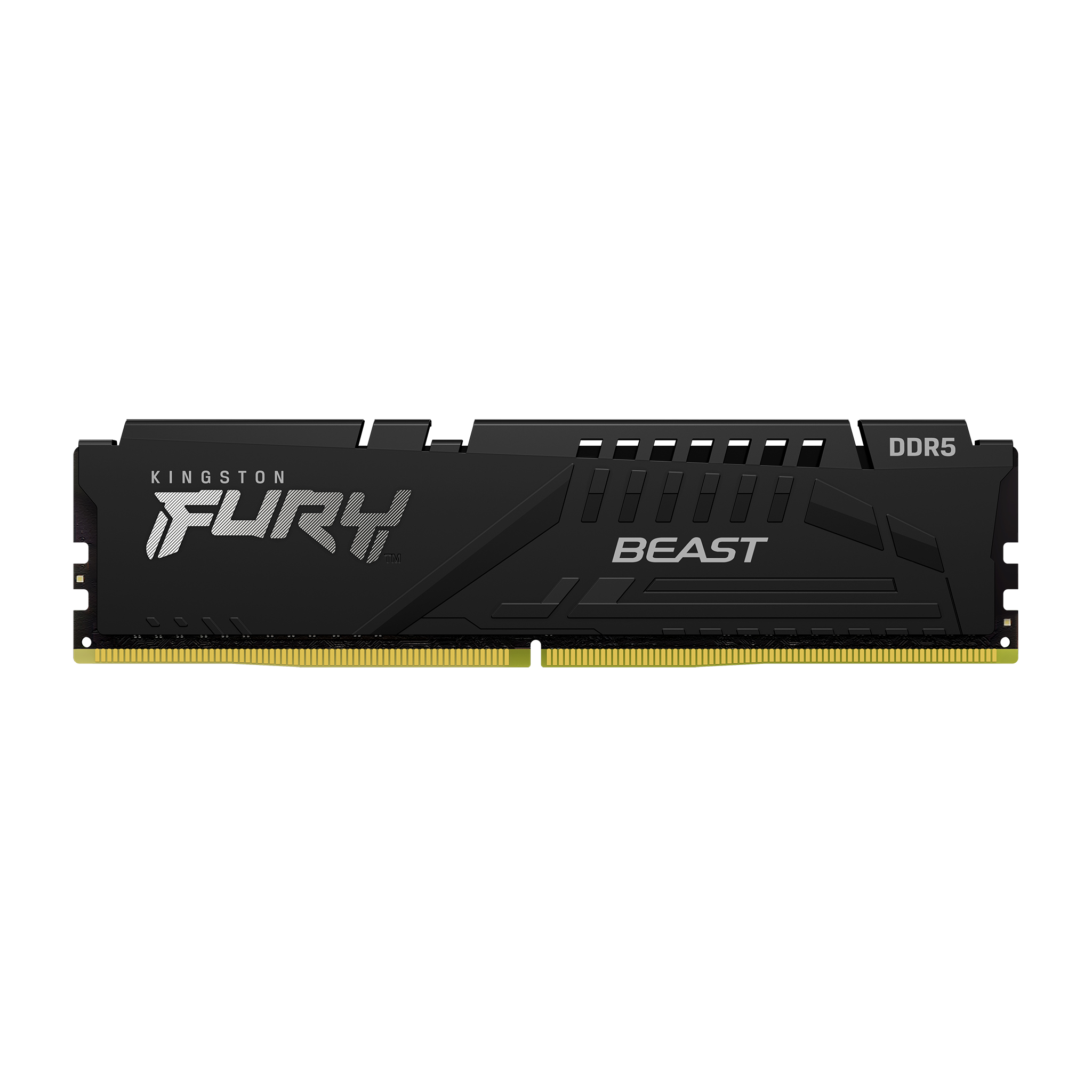 Kingston | 16 GB | DDR5 | 5600 MHz | PC/server | Registered No | ECC No