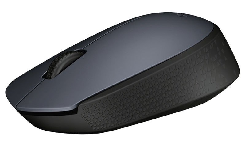 Pelė LOGITECH M170, bevielė, pilka