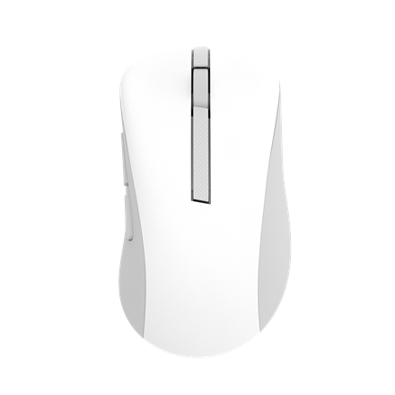 Pelė Asus Wireless Mouse  MD102  Mouse  2.4 GHz, Bluetooth  White