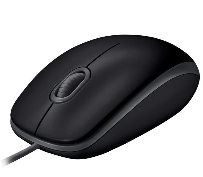 USB Optical B110 pelė