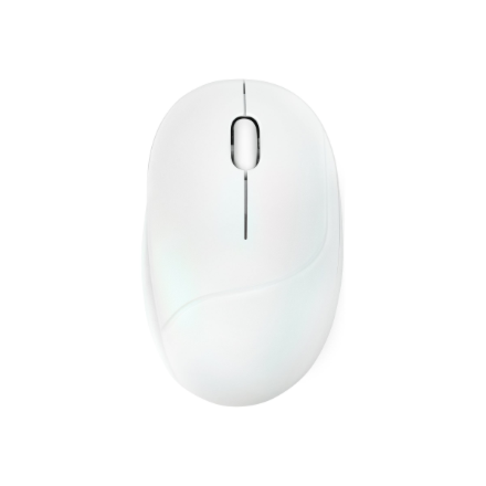 Pelė Asus MD101 MOUSE/WH  Asus