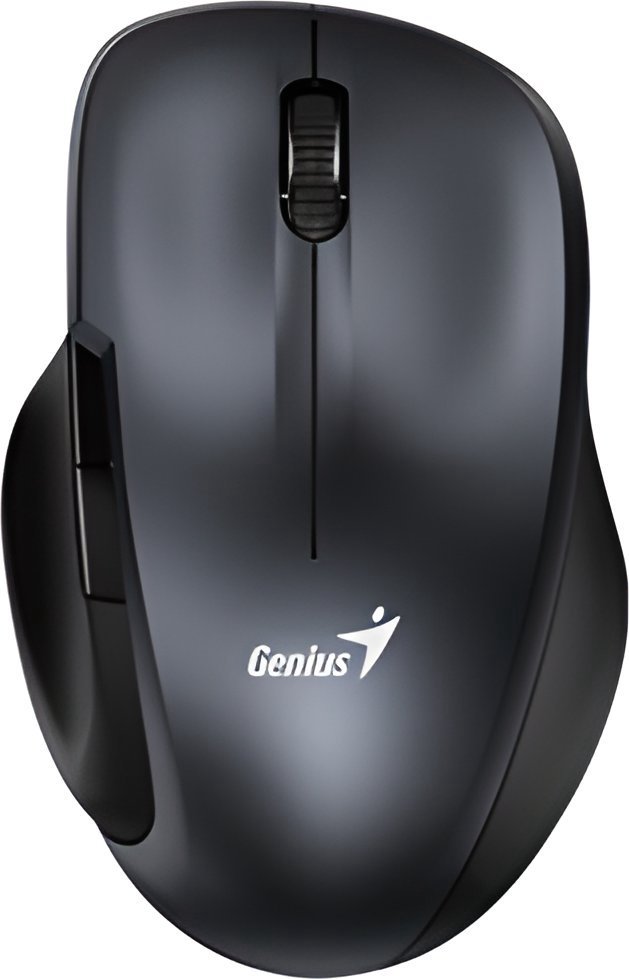 Mouse Genius Ergo 8200S graphite (31030029401)