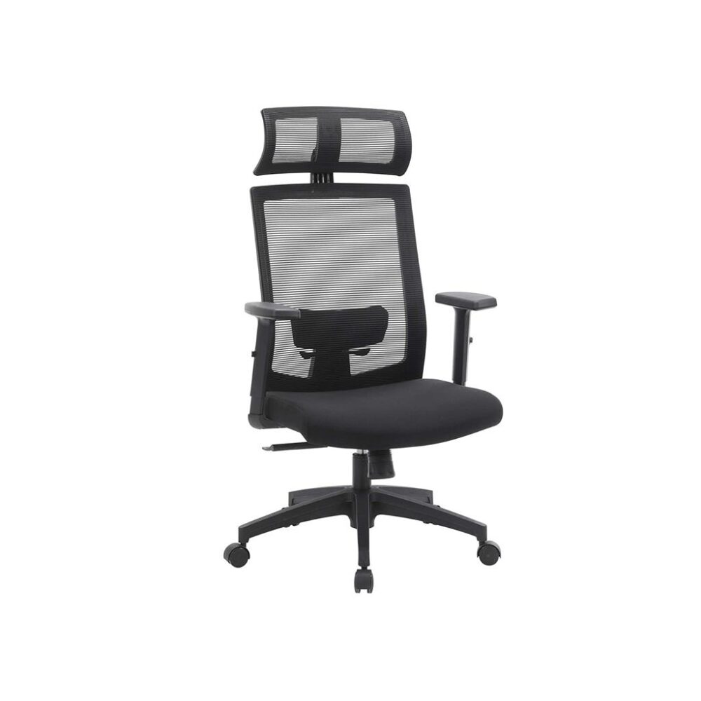 Ergonomiška kompiuterio kėdė