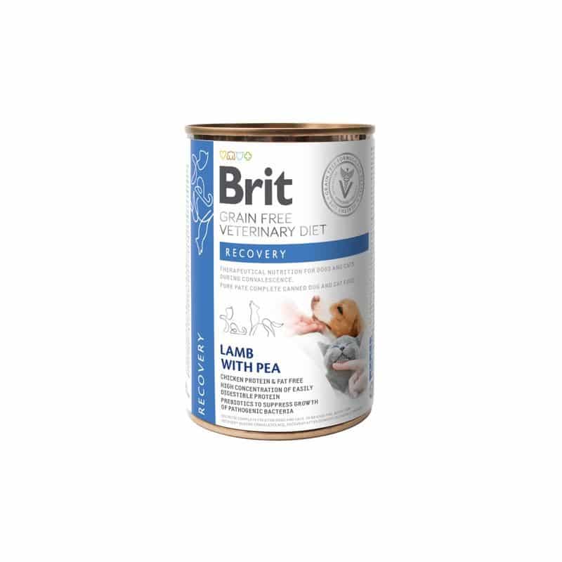 Brit GF Veterinary Diets Recovery konservai šunims ir katėms, 400g