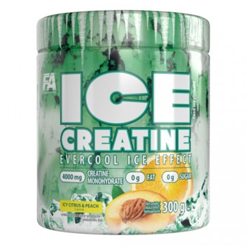 FA FITNESS AUTHORITY Ice Creatine - 300g Citrusiniai vaisiai-persikai