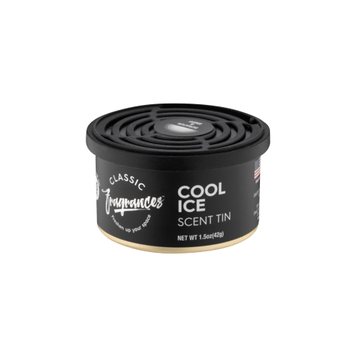 Designer Fragrances Kvapas Skardinėje - Cool Ice