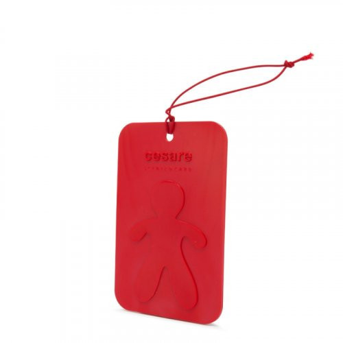 Mr&Mrs Fragrance Cesare Scented Card Auto kvapas, Peppermint