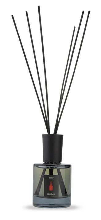 Kvapas namams su lazdelėmis Erbolinea Excellence Terrae ERBEXAMBTER100, 100 ml
