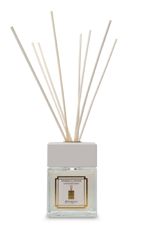 Kvapas namams su lazdelėmis Erbolinea Prestige Zenzero E Limone ERBAMBLIMON50, 50 ml