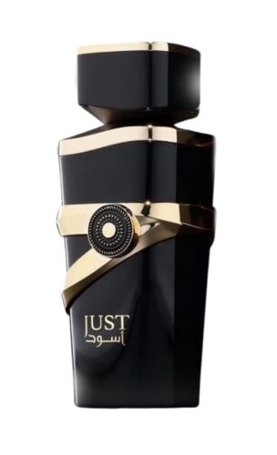 Fragrance World Just Aswad kvepalai vyrams 100ml EDP (įkvėpti Dior - Suavage Elixir)