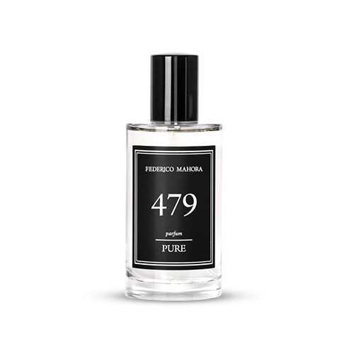 Pure 479 - Kvepalai vyrams 50ml  ( įkvėpti Giorgio Armani Acqua Di Gio Absolu )