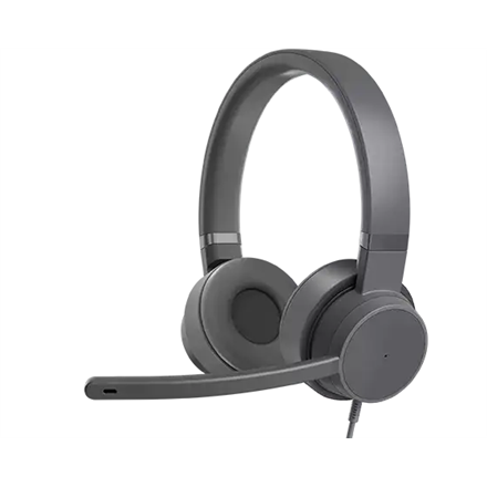 Ausinės Lenovo Go Wired ANC USB Type-C