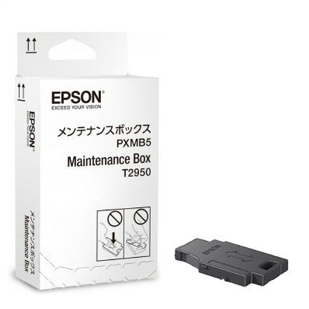 Toneris EPSON C13T295000