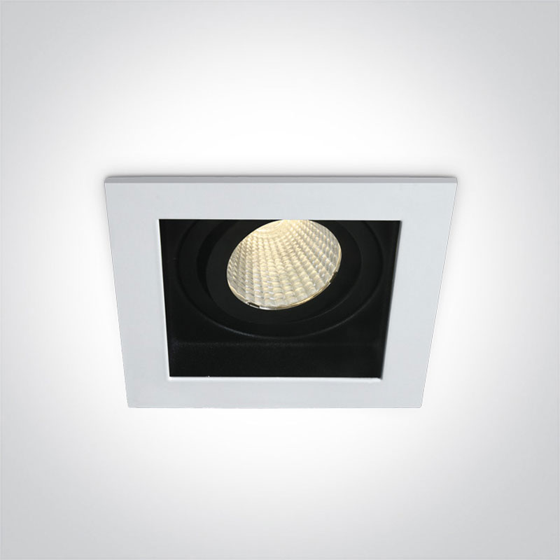 Įmontuojamas kryptinis LED šviestuvas 51112E/W/W