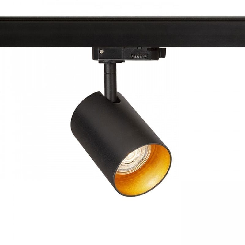 Akcentinis šviestuvas Connor Black Gold 3F