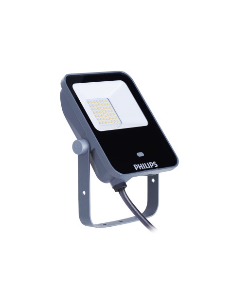 LED prožektorius Philips, 10 W, 4000 K, 1050 LM, IP65, su judesio davikliu, valdomas pulteliu