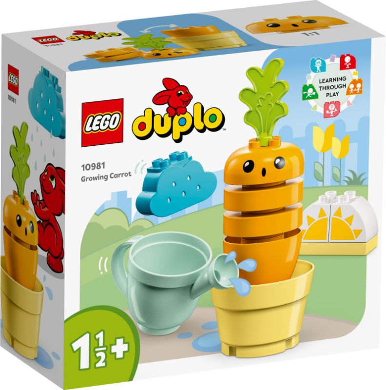 Mano pirmoji morka LEGO® DUPLO® 10981