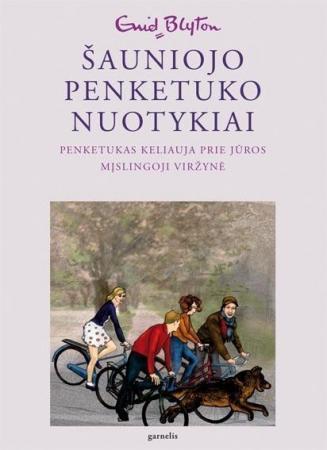 Šauniojo penketuko nuotykiai 6 Penketukas keliauja prie jūros