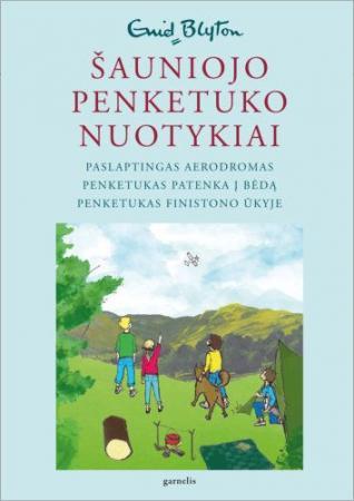 Šauniojo penketuko nuotykiai 8 Paslaptingas aerodromas