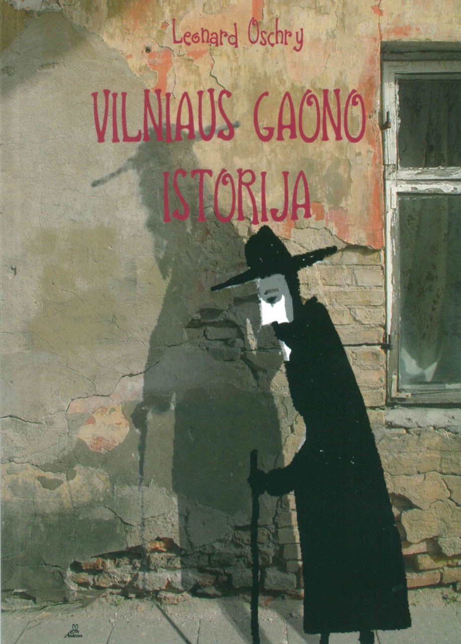 Vilniaus Gaono istorija