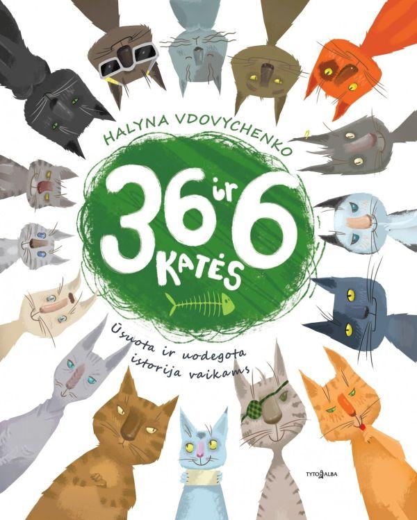 36 ir 6 katės