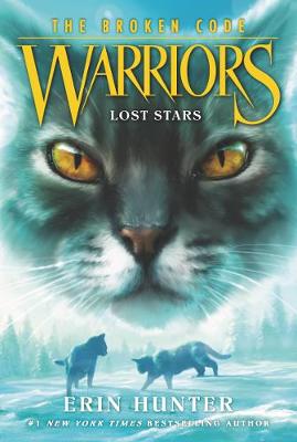 WARRIORS: THE BROKEN CODE (1)